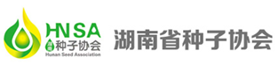 空白样板